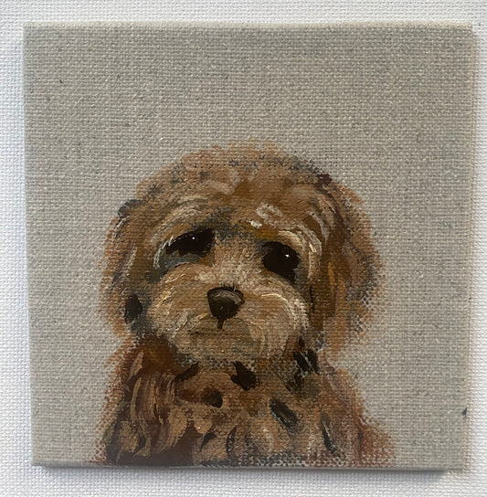 Frankie ( customer commission)