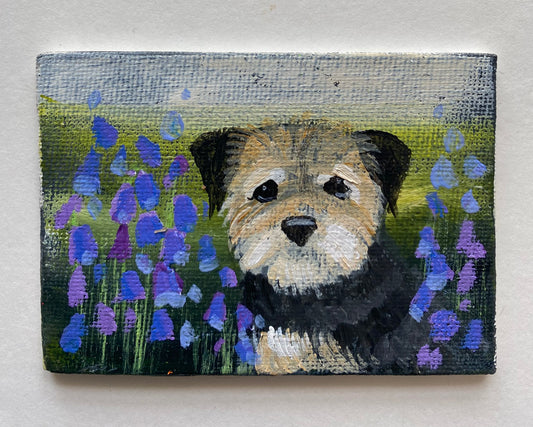 Bobby in the Bluebells