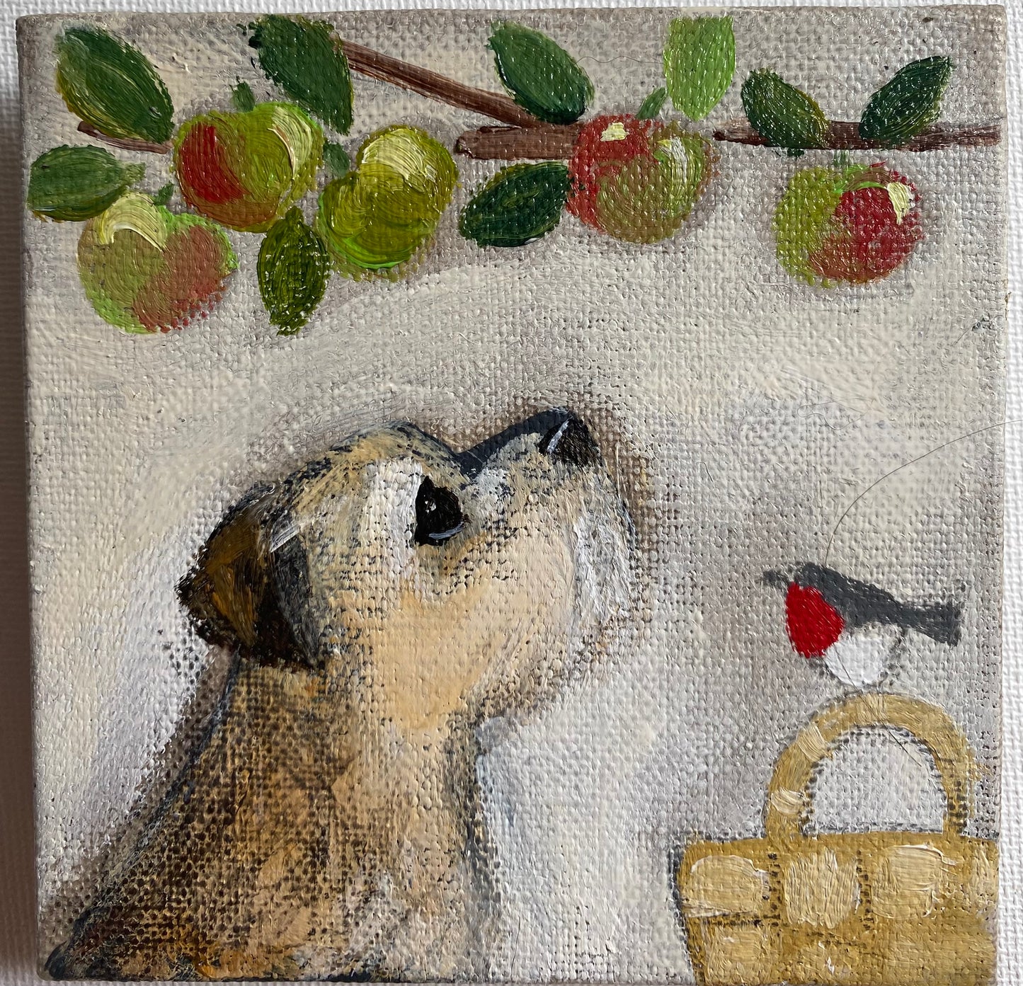 The Crunchy Tennis Balls Are Ready