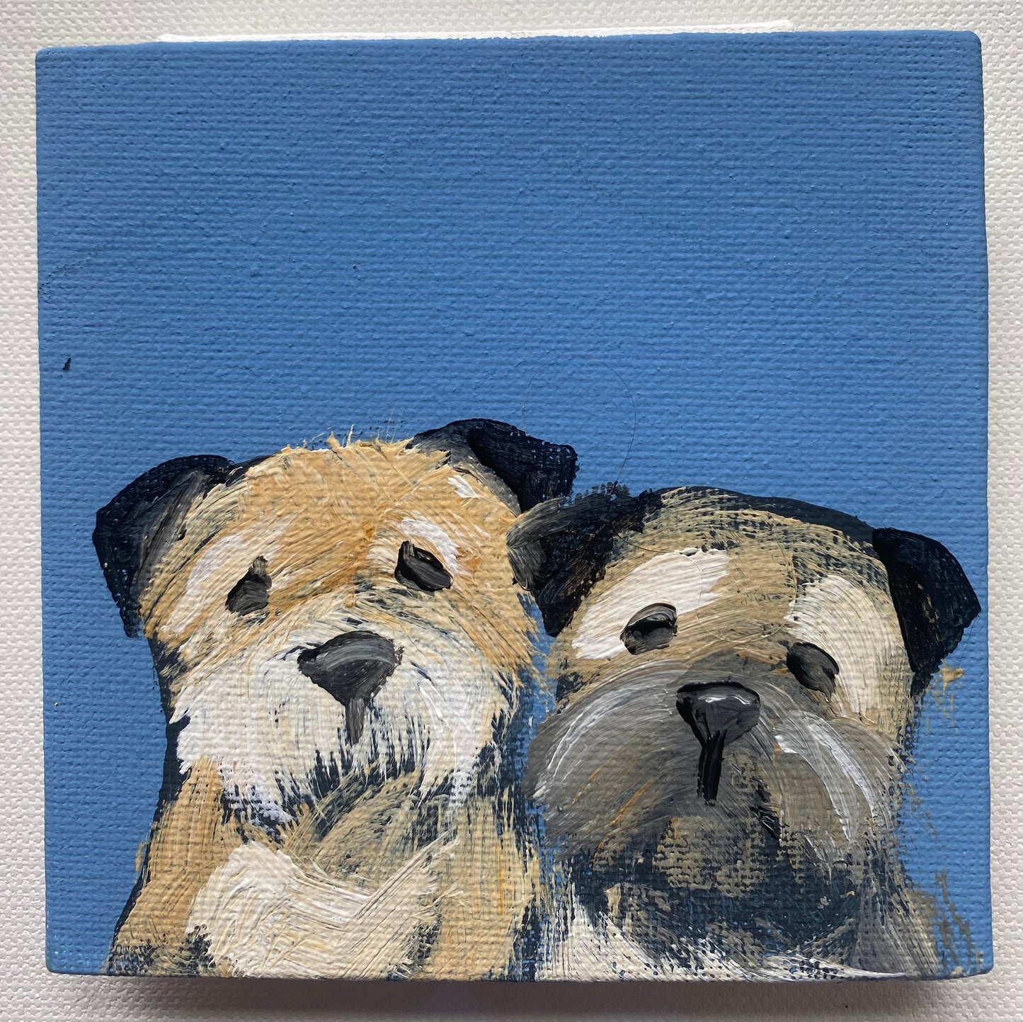 Milo and Teddy