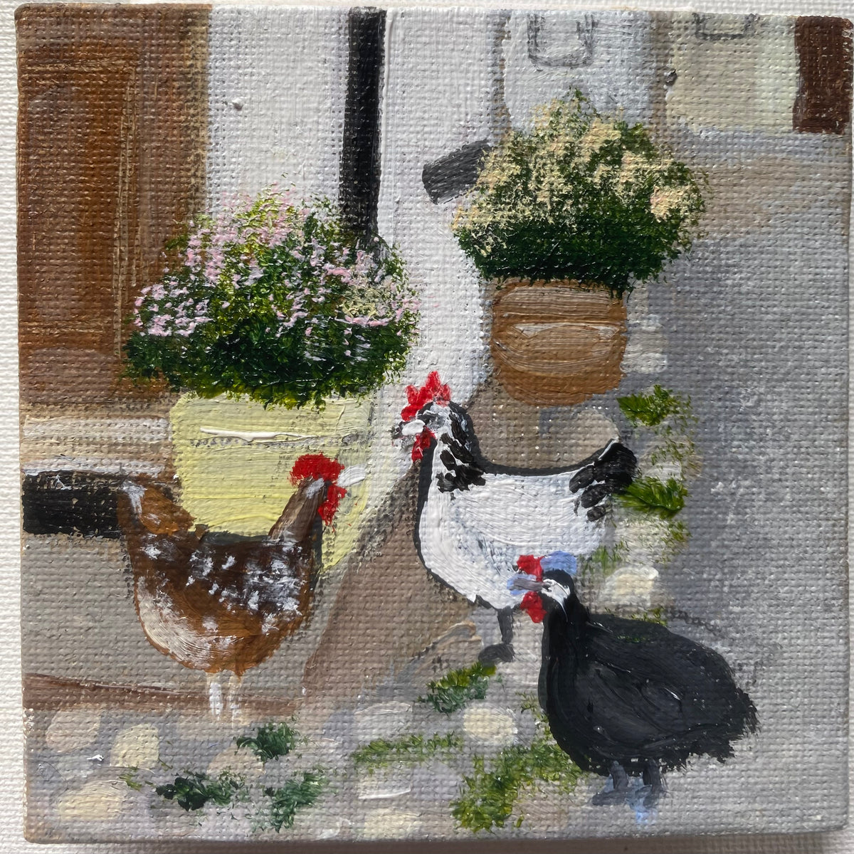 Hens and Guinea Fowl, Devon