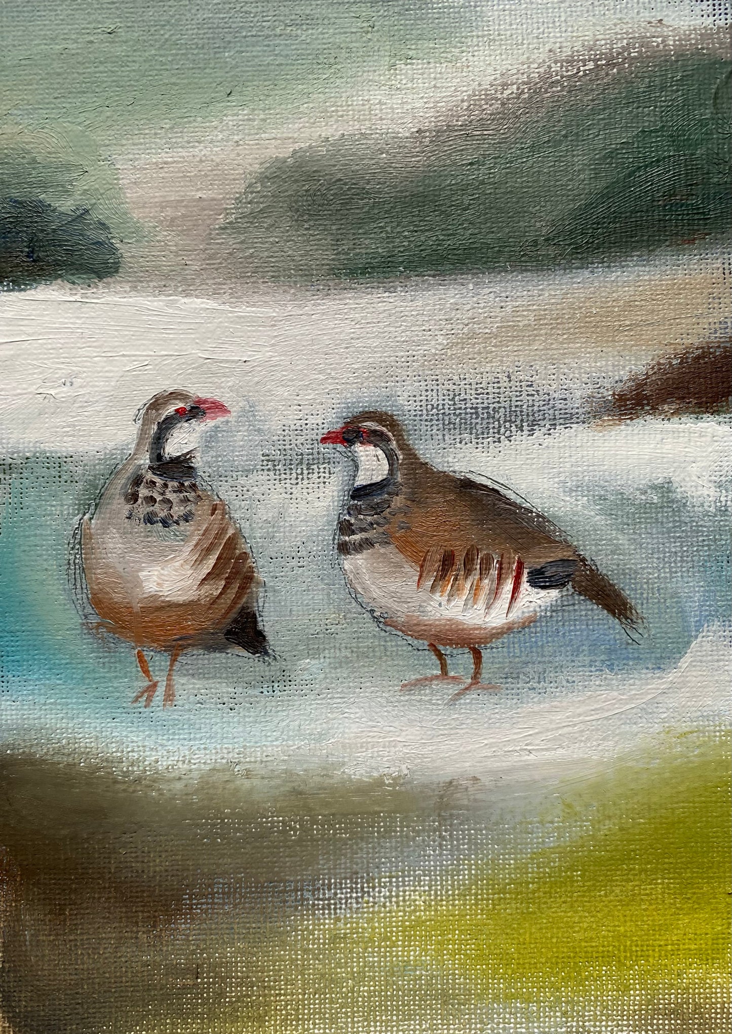 Winter Partridge