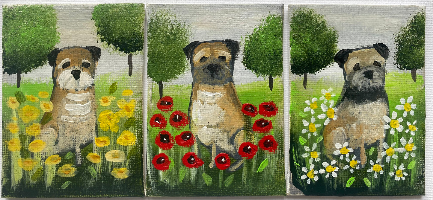 Buttercup, Poppy and Daisy
