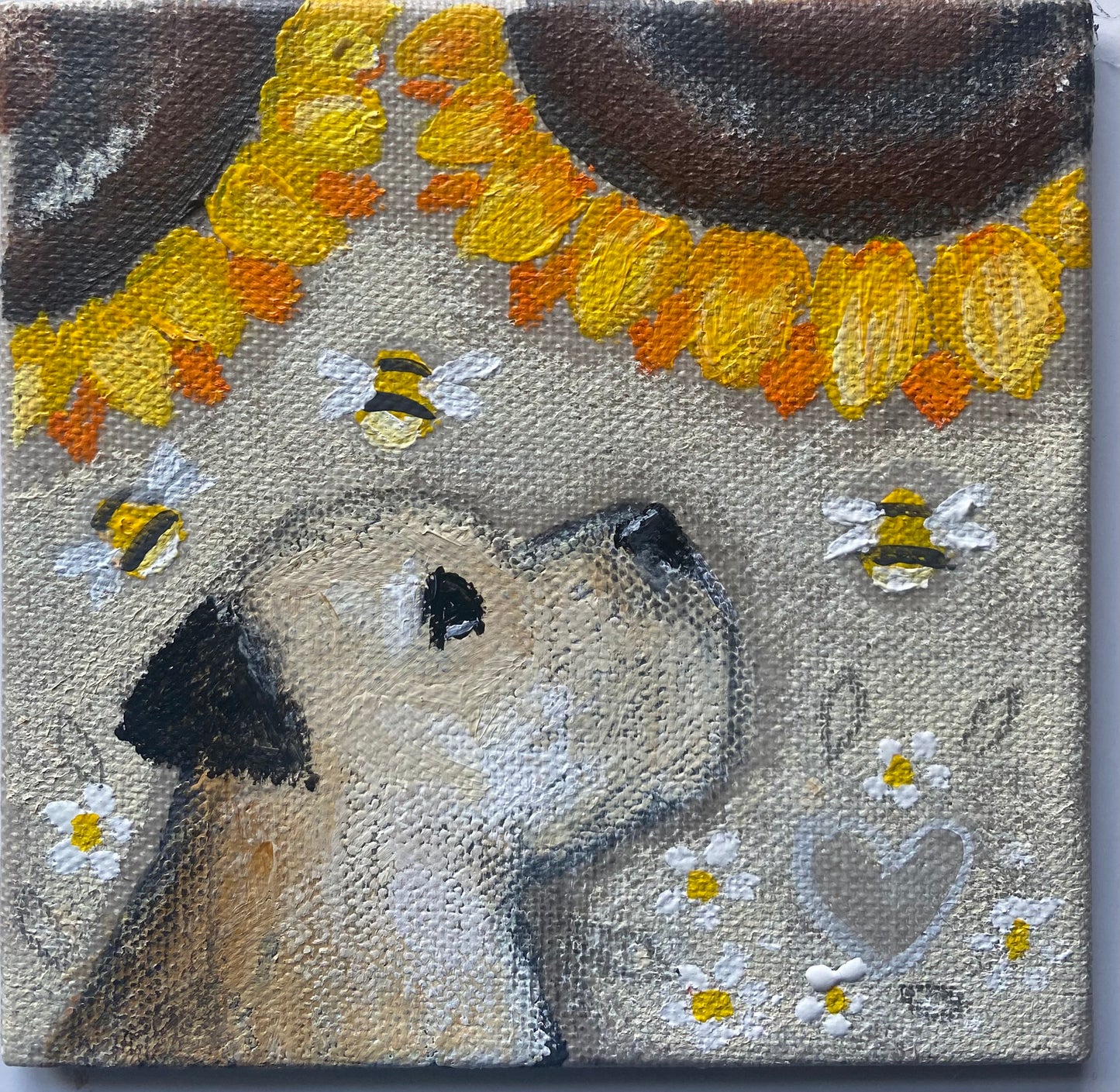 First Sunflowers