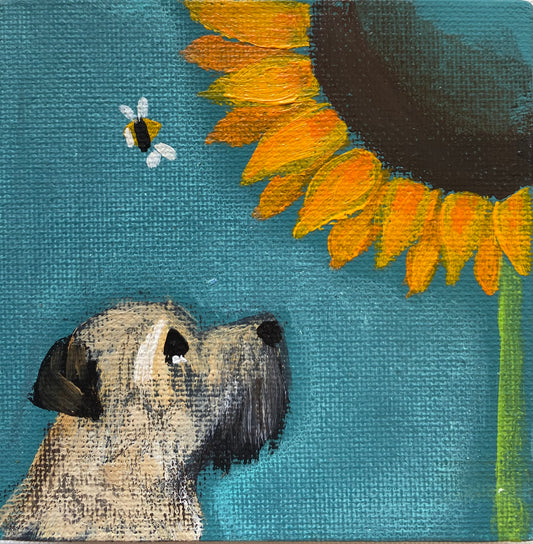 The Splendid Sunflower