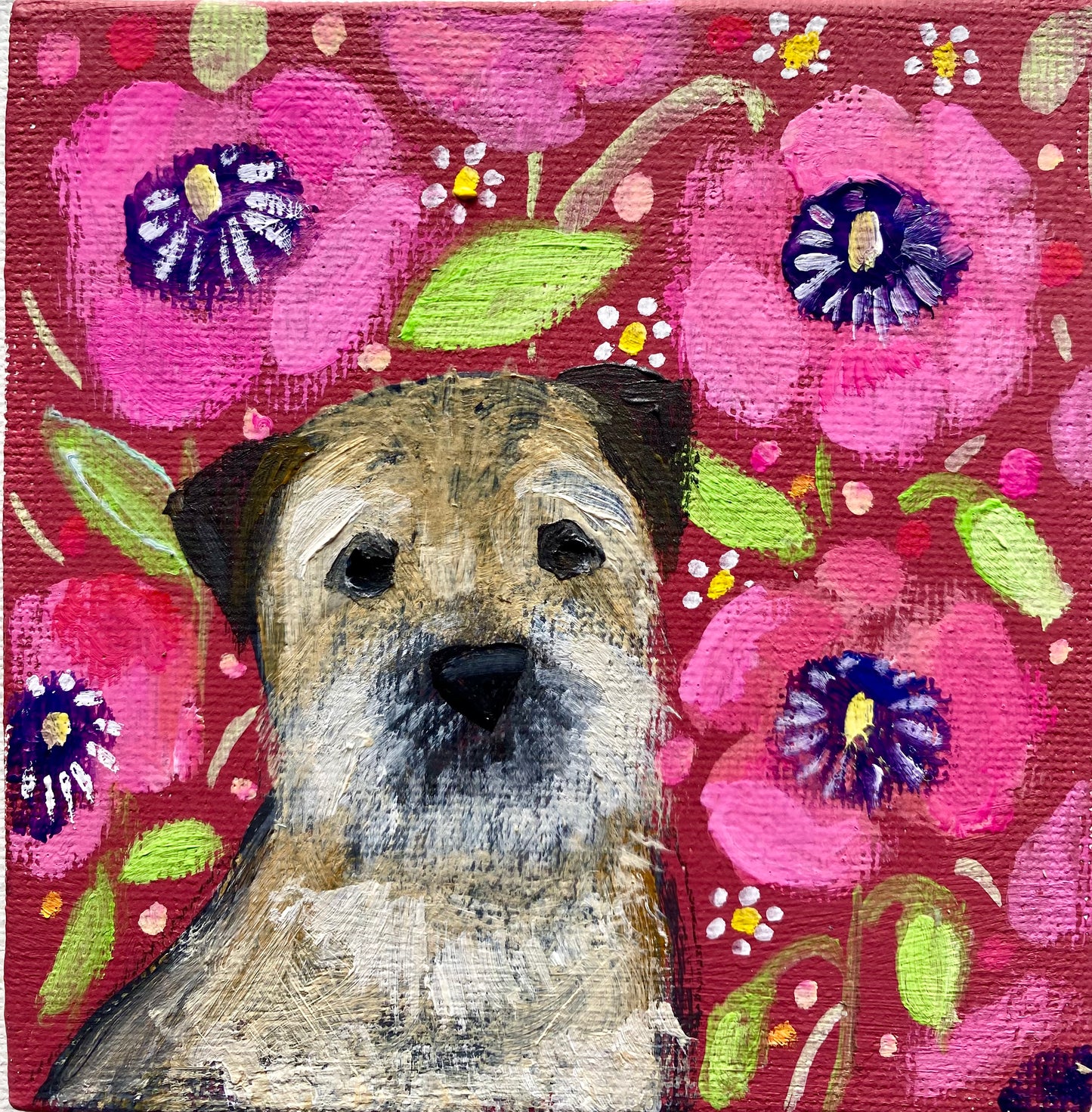 Poppy Dreaming