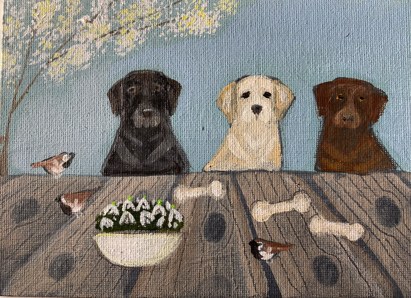 Sparrows, Snowdrops and Bonios