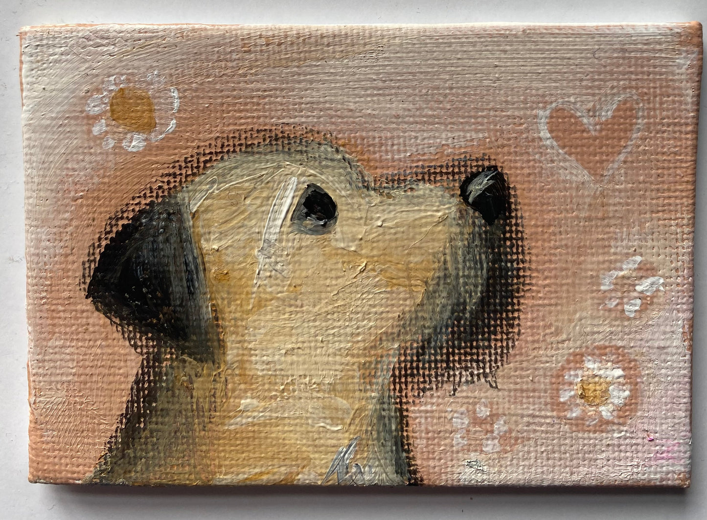 Dolly Daydream