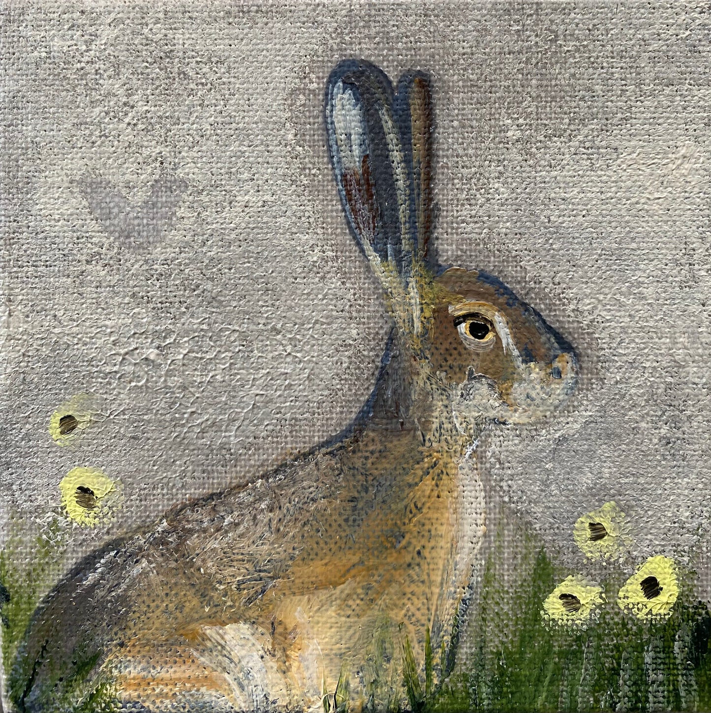 May Hare