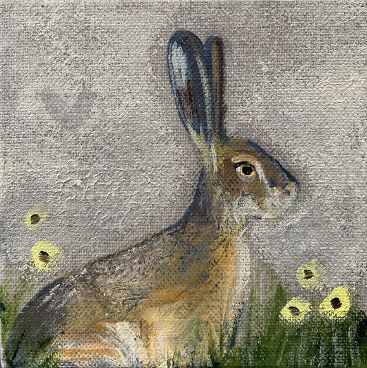 May Hare