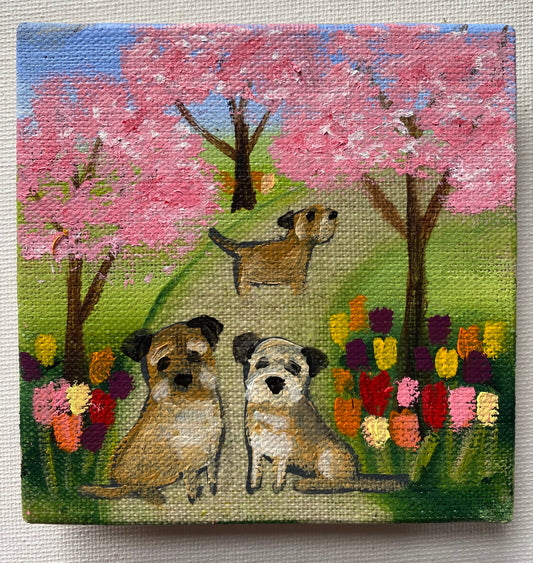 Cherry Blossom and Tulips