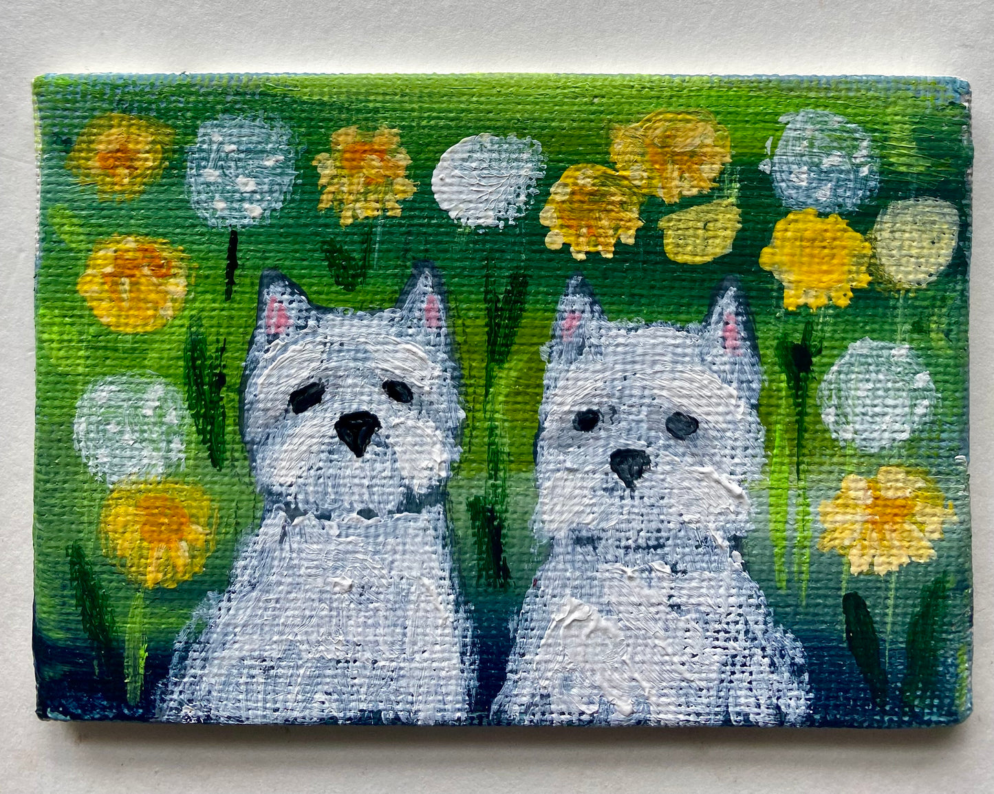 Westies in the Dandelions