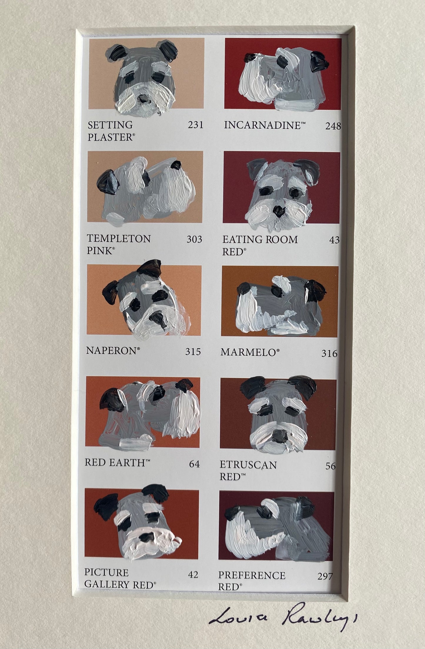 Schnauzer Colour Chart