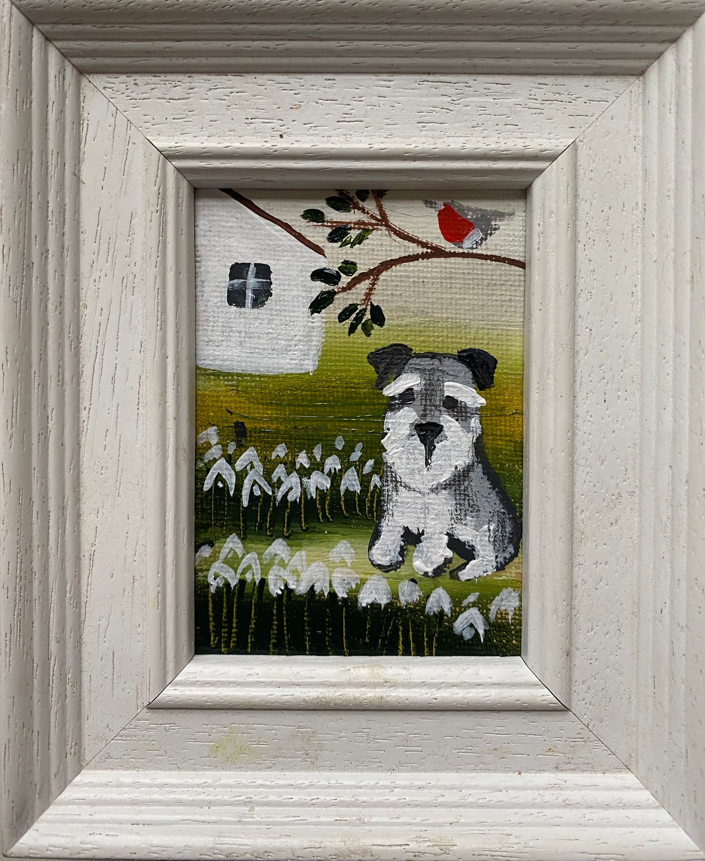 Schnauzer and Snowdrop Garden