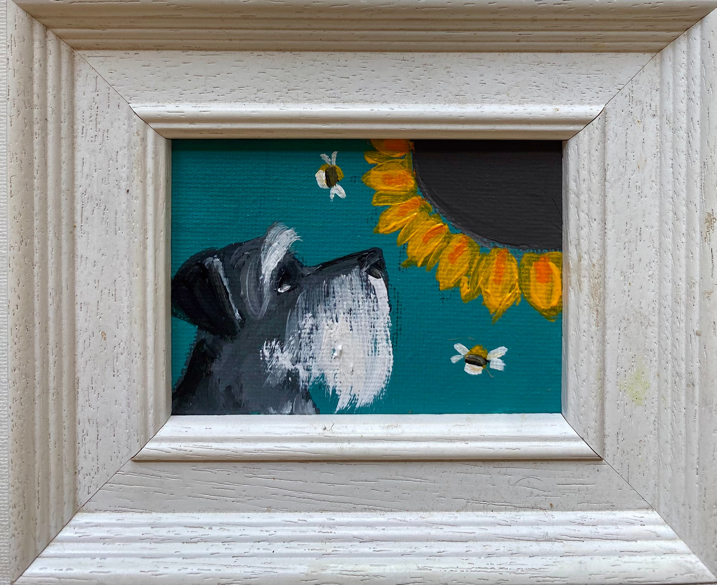 Sunflower Schnauzer