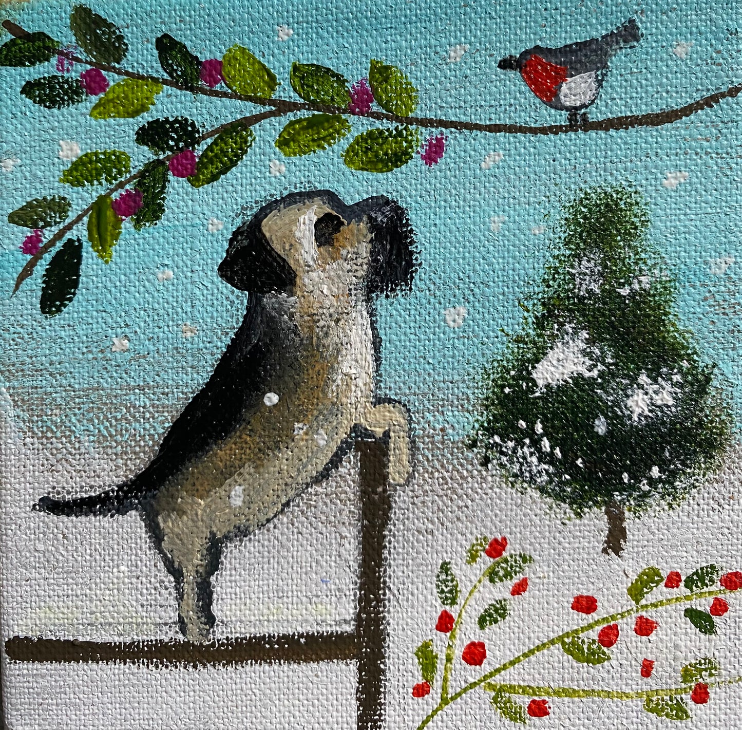 Snow Chatter