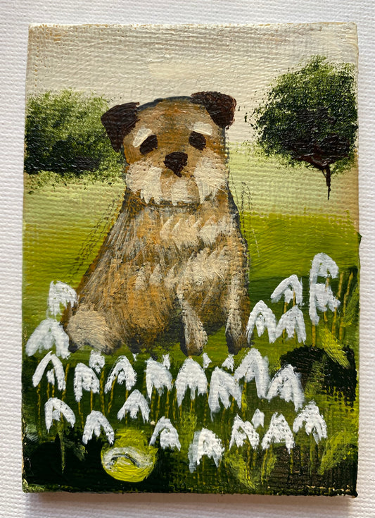 Tennis Ball In The Snowdrops