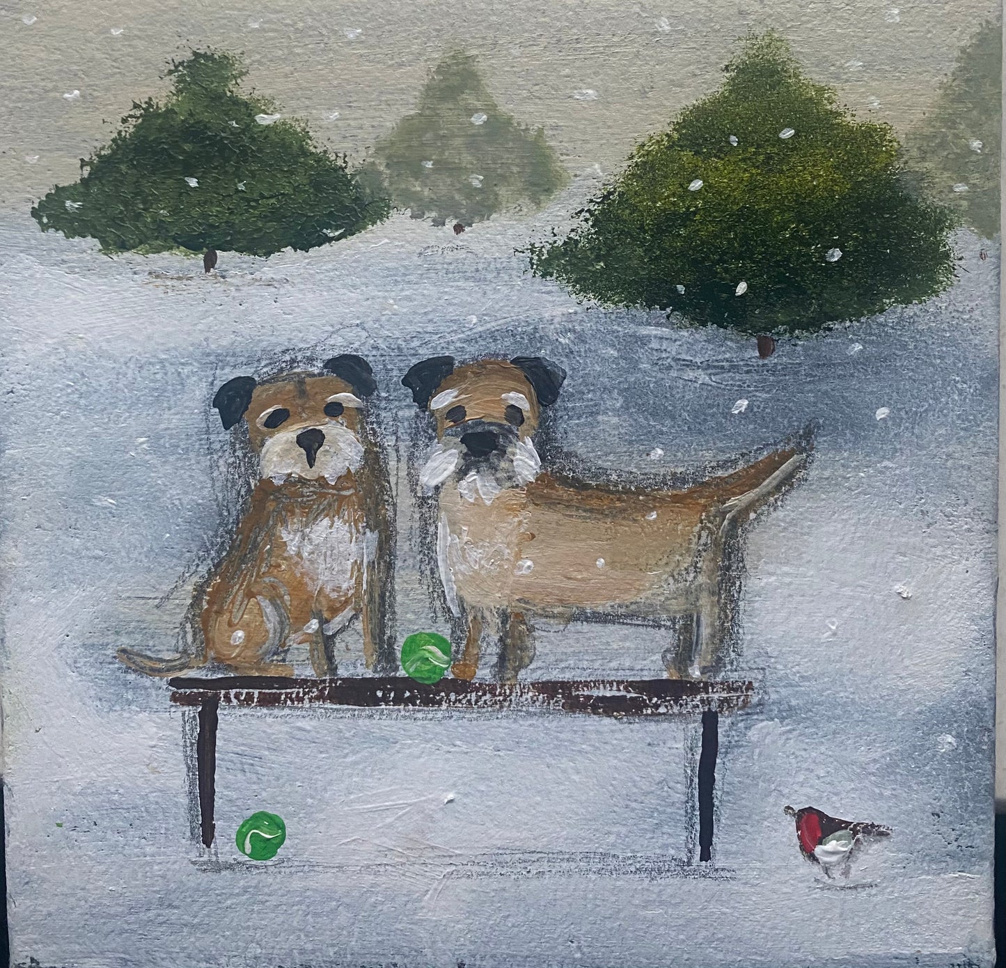 Paws Off the Cold Snow