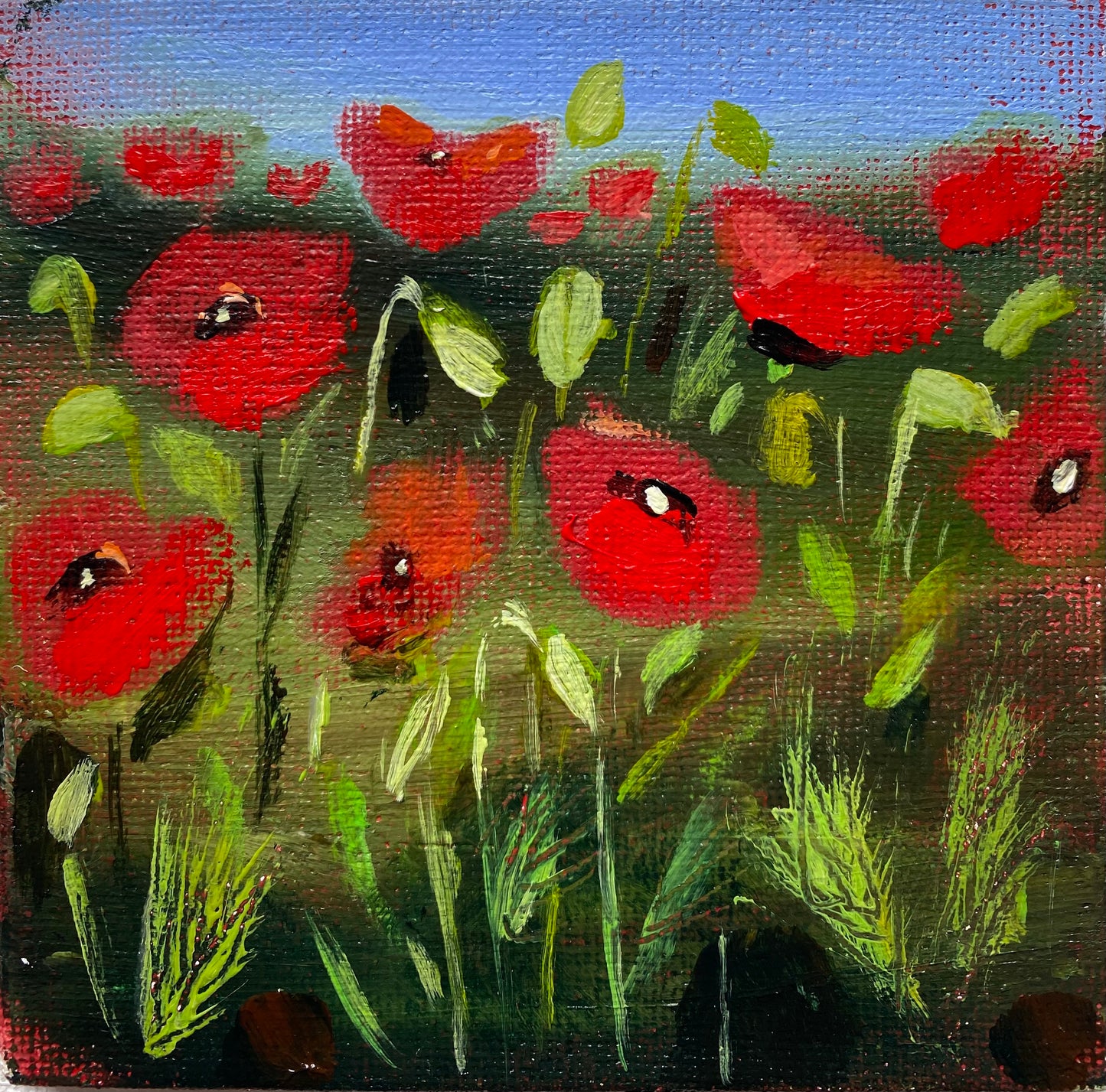 Among The Poppies