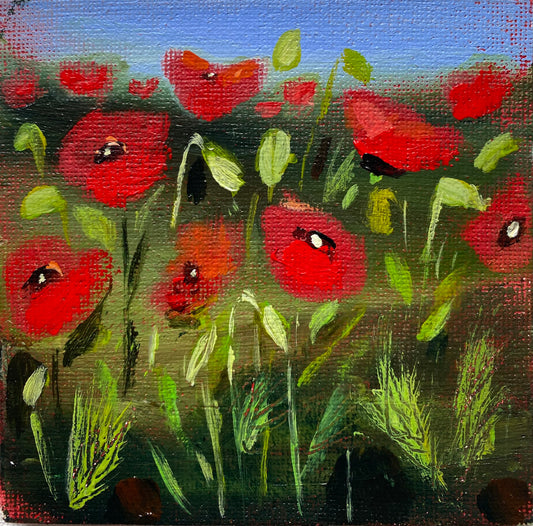 Among The Poppies