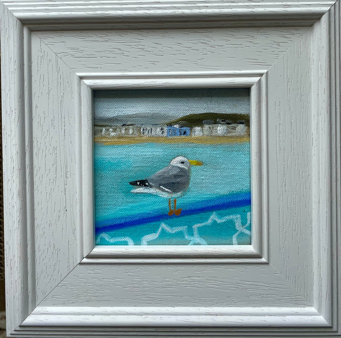 Llandudno Gull
