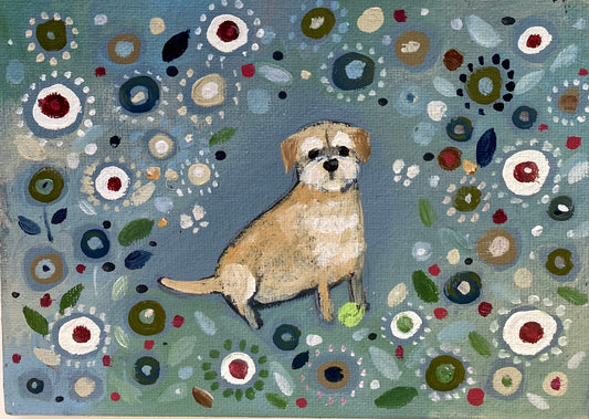 A Border Named Fred, With Middle Age Spread