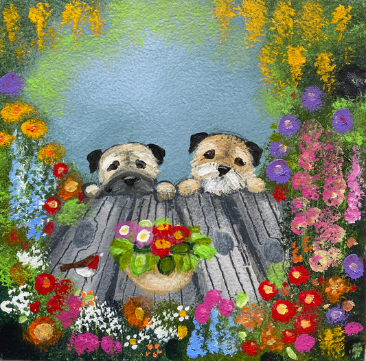 The Splendid Primroses