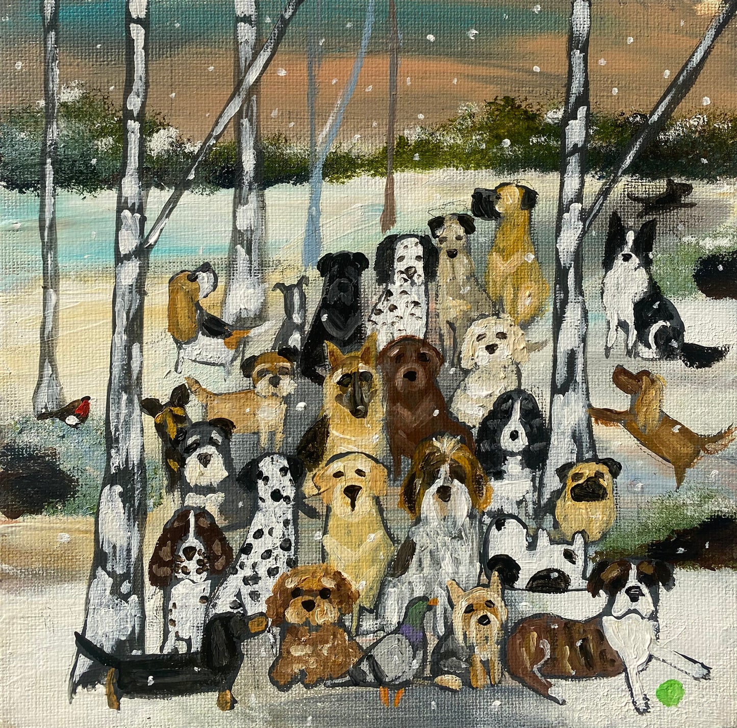 Can Everyone Look At The Camera