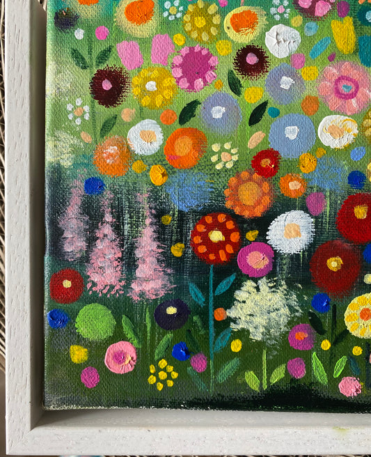 A Wander Through The Flower Meadow