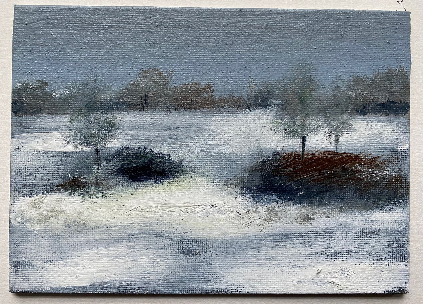 Early Morning, Sutton Park