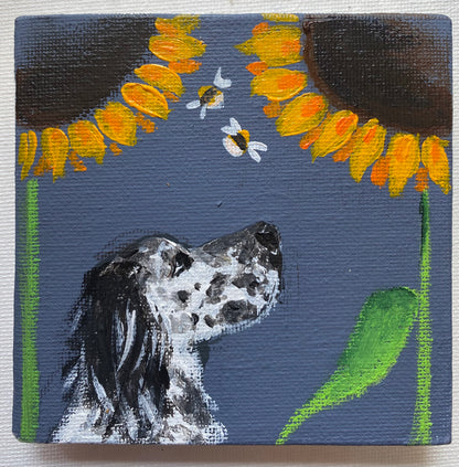 Sunflower Setter