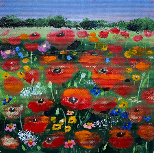 Amongst The Poppies