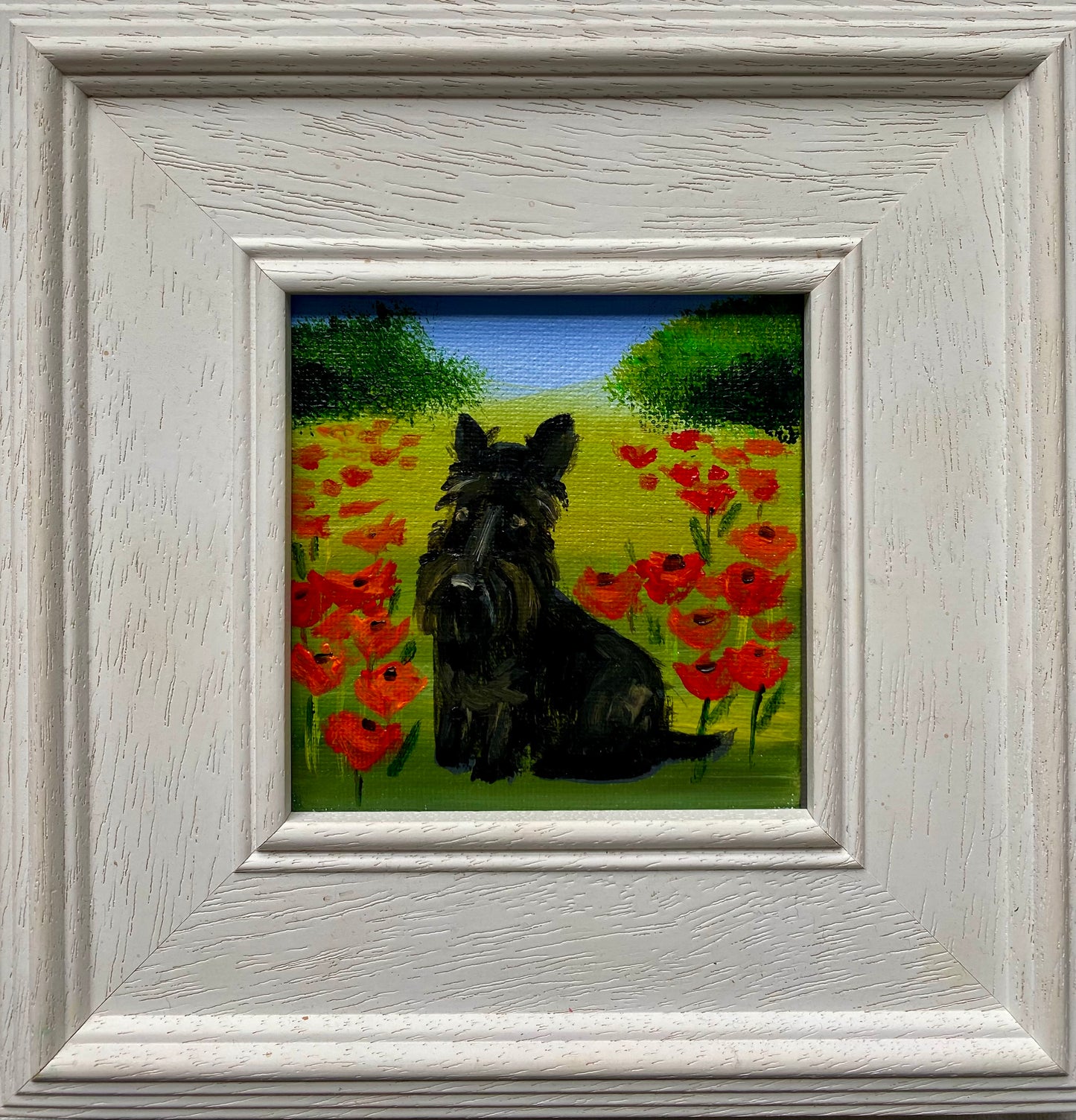 First Poppies