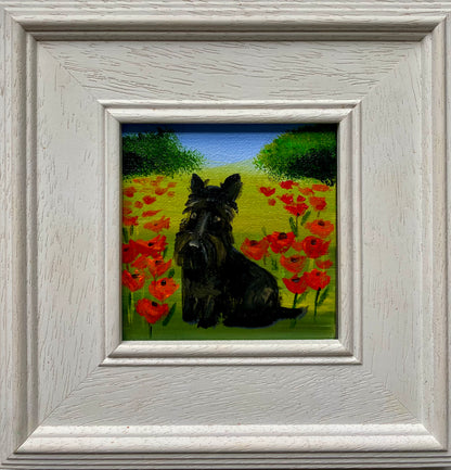 First Poppies