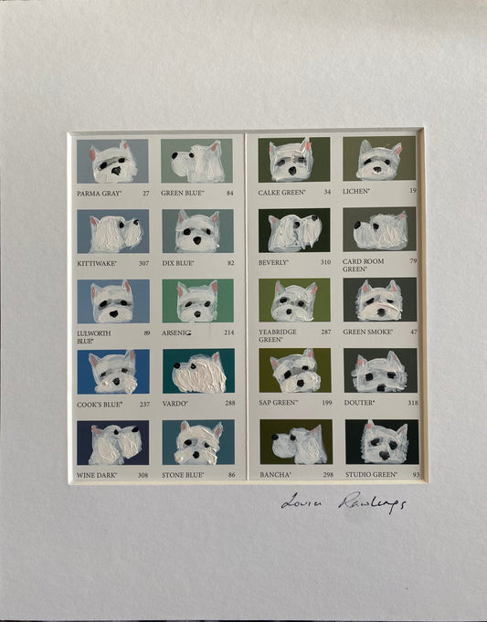 Westie Colour Chart