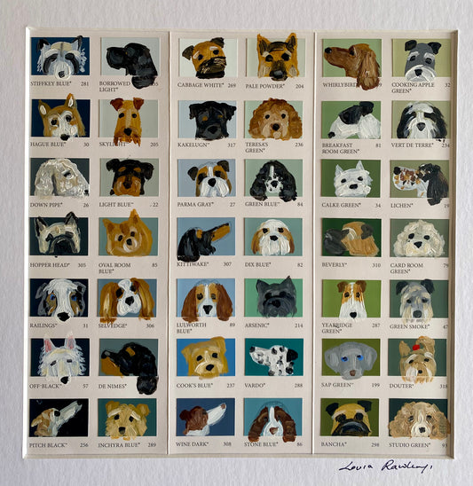 Multi dog colour chart