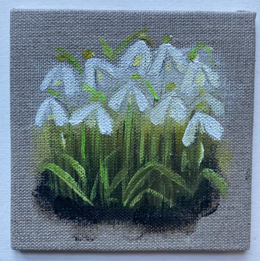 Snowdrops On Linen