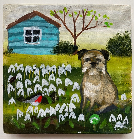 Snowdrops By The Blue Shed