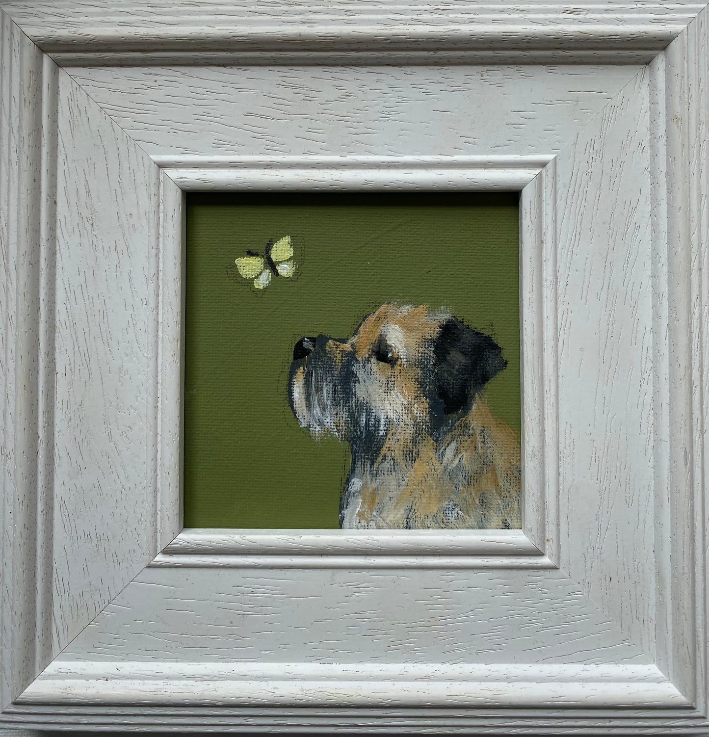 Little Yellow Butterfly