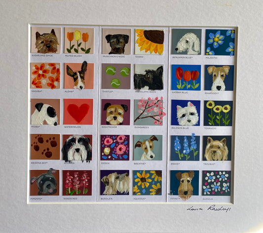 Terrier Colour Chart