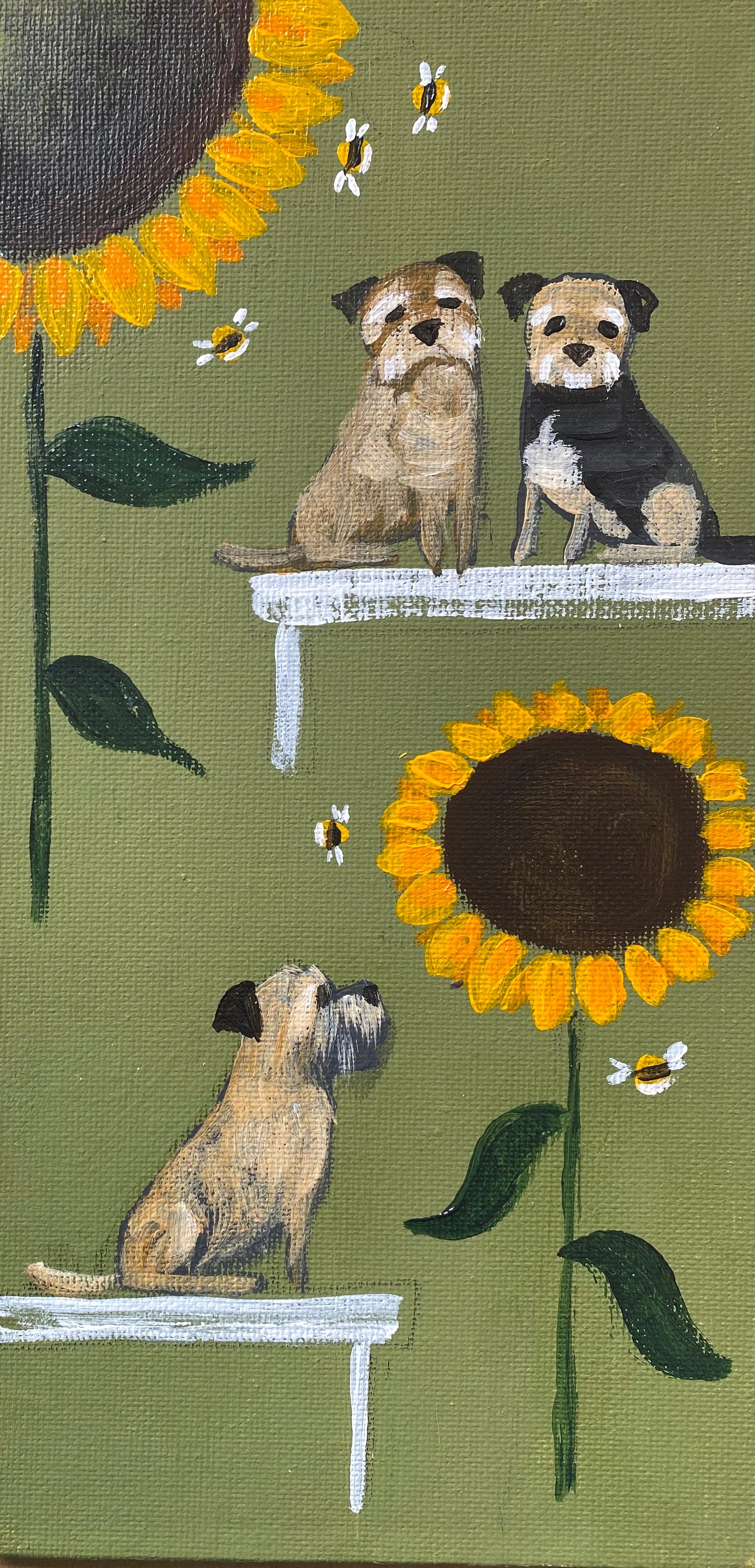 Benches Amongst The Sunflowers