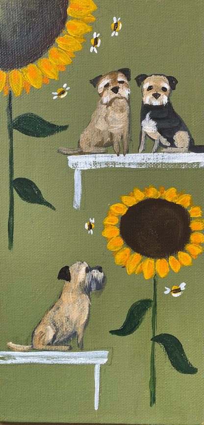 Benches Amongst The Sunflowers