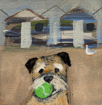 Trevor Brought His Best Ball To The Beach