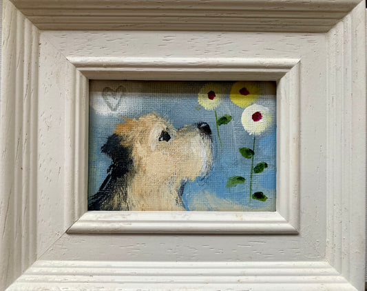 First Spring Flowers