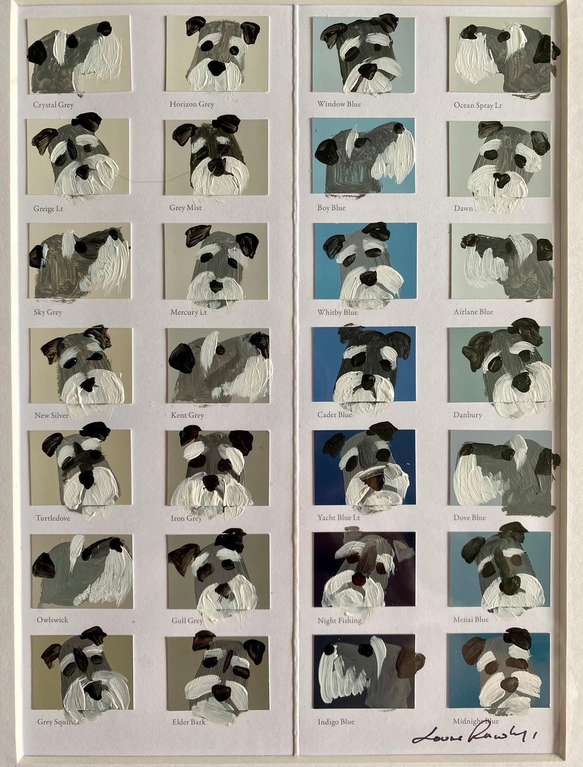 Schnauzer Colour Chart