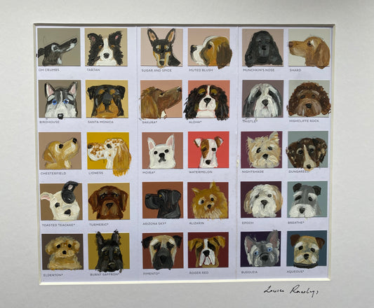 Multi Dog Colour Chart