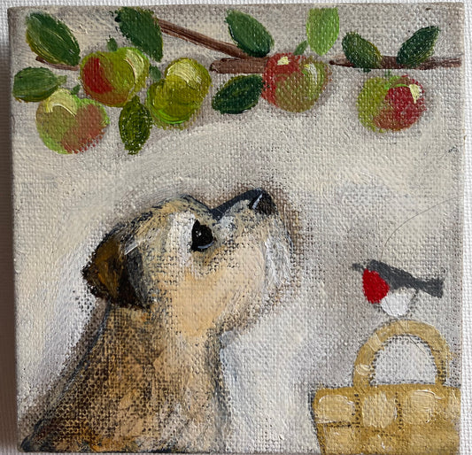 The Crunchy Tennis Balls Are Ready