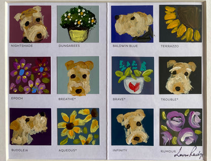 Welsh Terrier Colour Chart