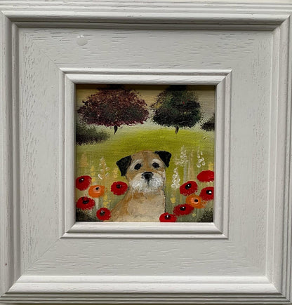 Last Of The Summer Poppies