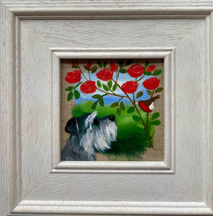 Sully The Schnauzer